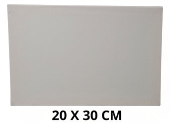 TELA,PARA,PINTURA,TAMANHO,20CM,X,30CM